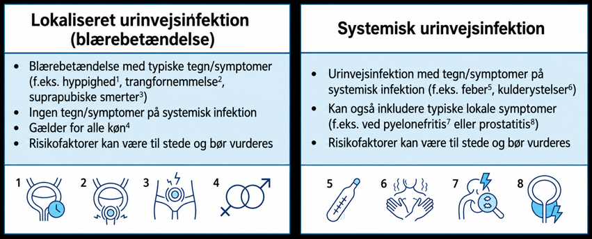 Billede som forklarer forskellen mellem lokaliseret og systemisk urinvejsinfektion